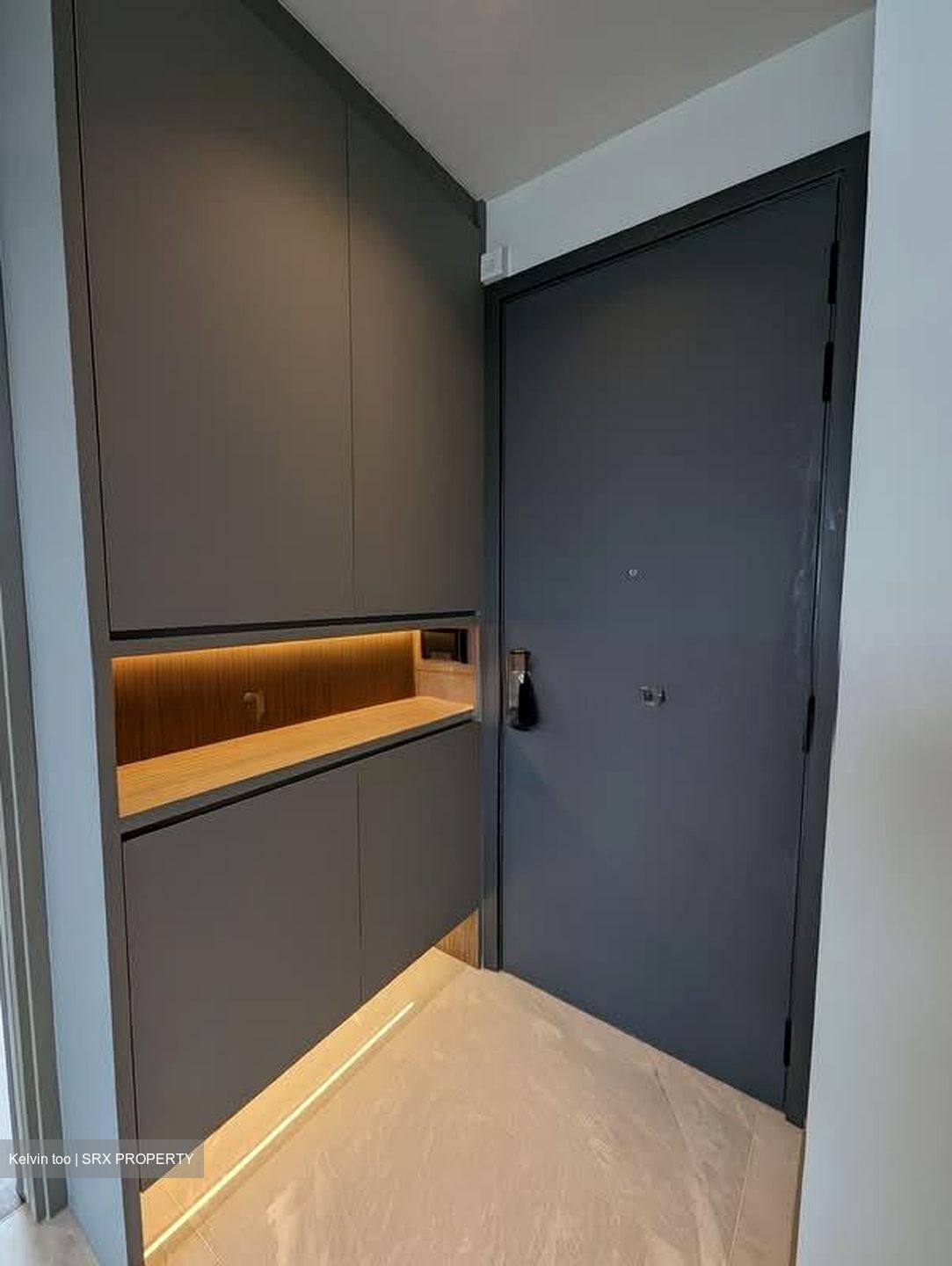One Meyer (D15), Apartment #555424831
